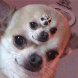 1546471465046
