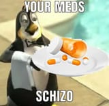 meds