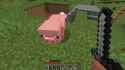 video_thumb.jpg
