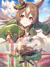 tex_support_card_30029