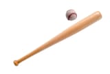 bat