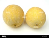 galia-melons-cucurbitaceae-BA0B1T