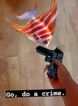 gun