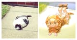 __sand_cat_and_tsuchinoko_kemono_friends_drawn_by_roonhee__89c8efb11a38f570f73c2a43ebb38d8d