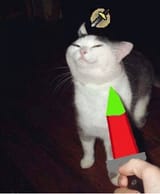 1729157731599162