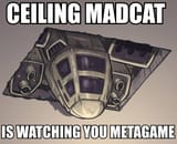 ceiling madcat
