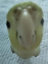 xlvzsulg2ycf1