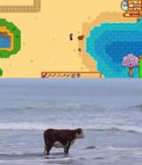 47238972