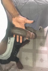 1751587270632804