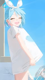 132733431_p0