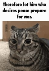 1746528564167774