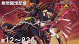 Zexal 12-22