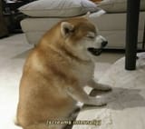 AaAAhhaHHHHGhHhhhGggAAAAAHHHH