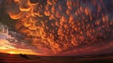 mammatus