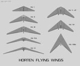 Horten Flying Wings
