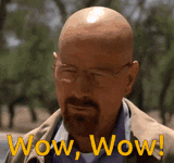 wow-walter-white