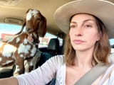 jane_goat