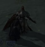 im sorry brother