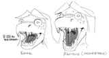 znoot game dlc hold onto mi tiff got a big mouth