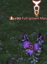 full-grown man