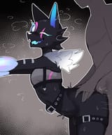 88d4d090a472e3c489b0518dogb8396