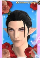 2025-07-15 17-04-02 ffxiv_dx11
