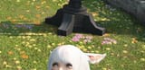 peek