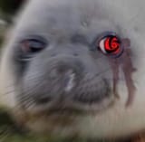 1703302184456