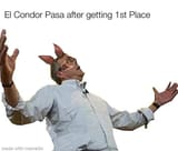 EL CONDOR GUAC