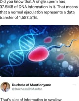probably bullshit fact