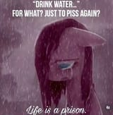 1752018249620519