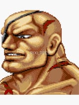 sagat