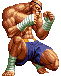 sagat-turn2