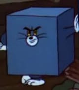 boxtom