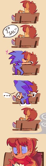 not sally