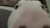 maxresdefault