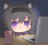 Laptop homu