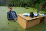 swamp gamer