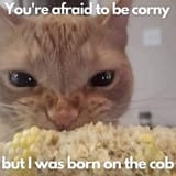 corny