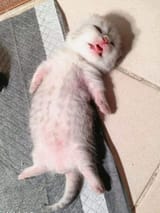 Me (tired and full of soup)