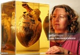 gettyimages-54676775-612x612