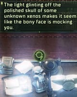 unknown xenos