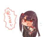 wa2000 skk plush