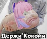16475866757261