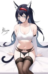 blaze 27
