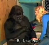 bad sad