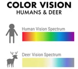 Vision spectrum