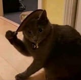 1721420034982158