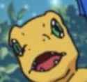 gasp