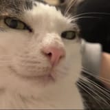 1727813662342248